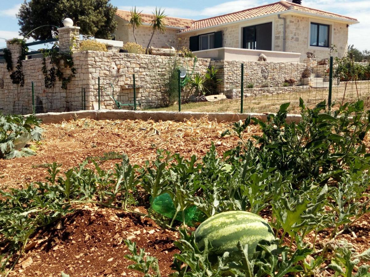 Villa Little Hill Postira Εξωτερικό φωτογραφία