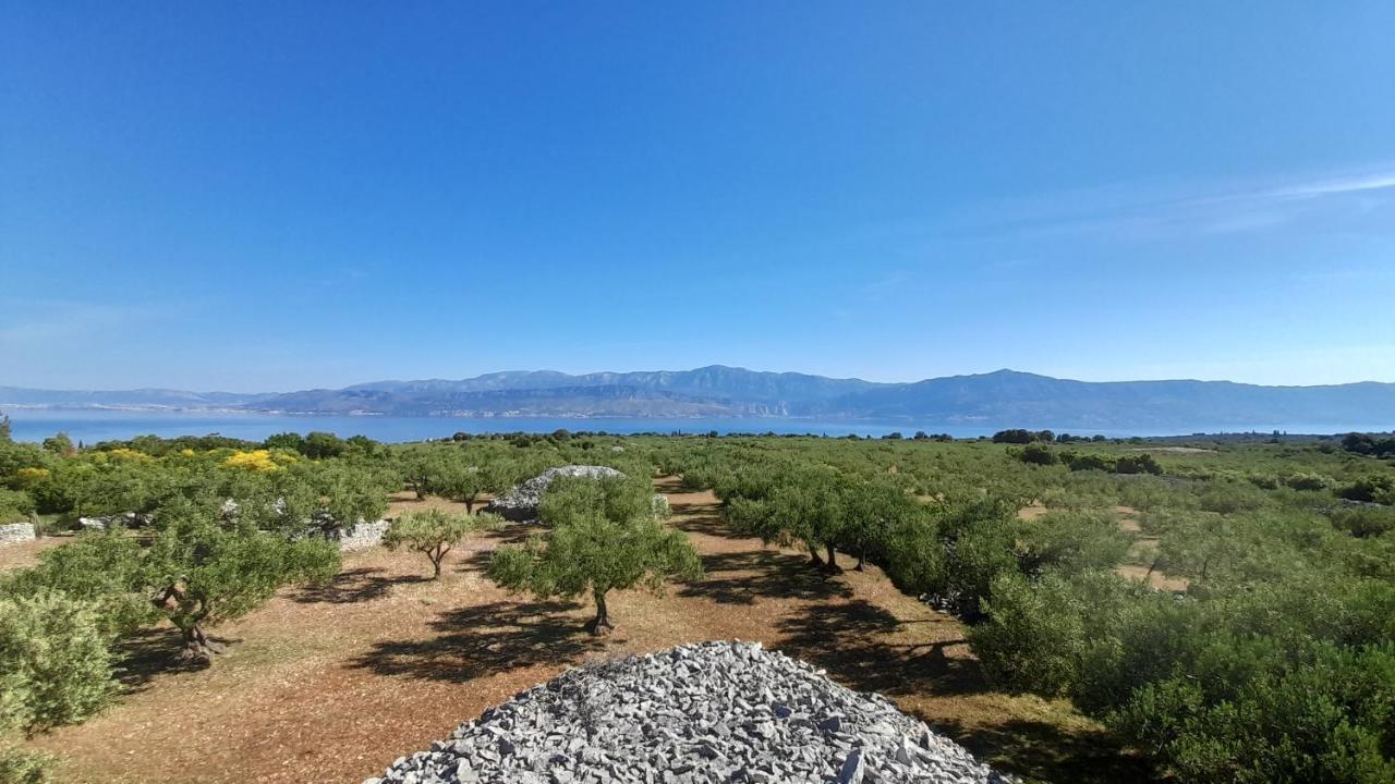Villa Little Hill Postira Εξωτερικό φωτογραφία
